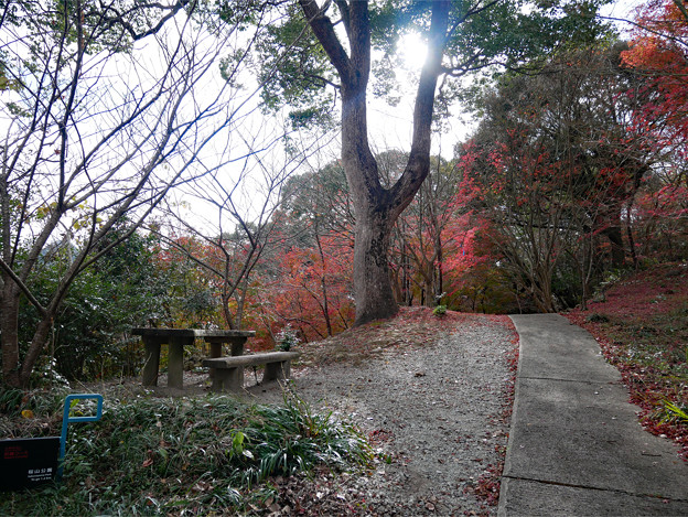 桜山公園 ～ 天満宮と紅葉 (2)