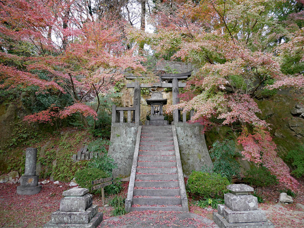 桜山公園 ～ 天満宮と紅葉 (9)