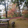 Photos: 桜山公園 ～ 天満宮と紅葉 (11)