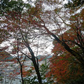 Photos: 桜山公園 ～ 天満宮と紅葉 (12)