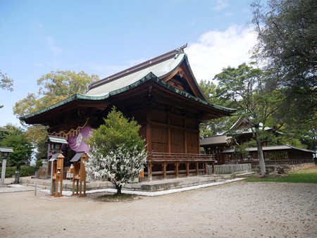 久留米城跡＠2023 (26) 篠山神社。手前に拝殿、奥に神殿