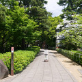 写真: 入船山記念館 (3)