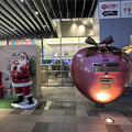 Photos: クリスマスアドベント2023福岡 (6)