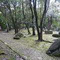 亀山公園 (50)