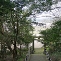 亀山公園 (59)