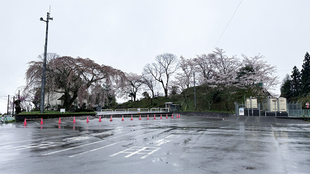 写真: 道の駅たけた (2)