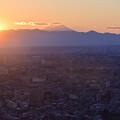 写真: 都庁より富士山