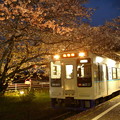 写真: 桜の駅
