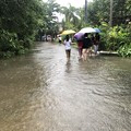 Photos: 大雨で池になっちゃった (4)