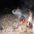 写真: 墓のごみ焼却3