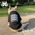 写真: ブランド cdg ペット服 シャネル と シュプリーム 犬猫用品