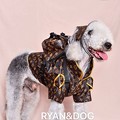 写真: ルイヴィトン 犬服 グッチ ペット洋服 とシャネル ドッグ 牽引ロープセット