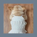 写真: ペット用品専門店をおすすめ！ ルイヴィトン 犬用品 夏のベスト シャネル 可愛い ペット洋服