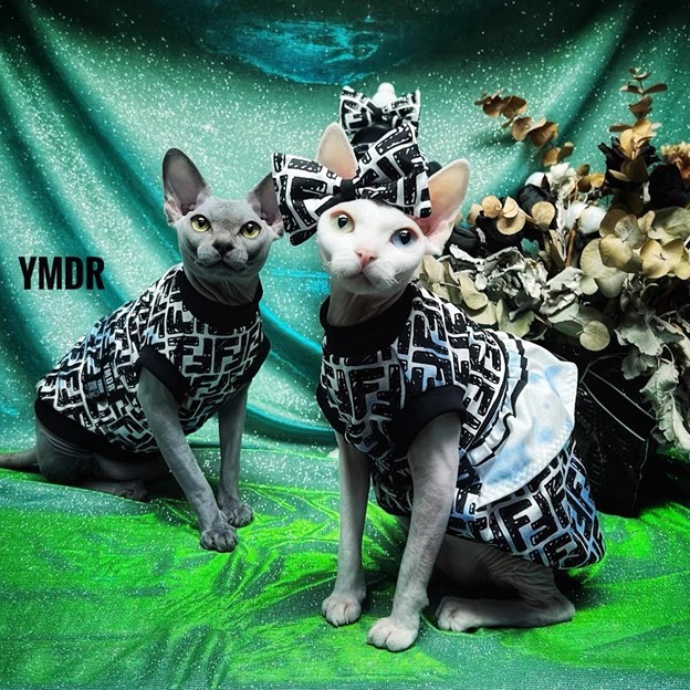 Supreme ペット用パーカー 可愛い フェンディ 猫の洋服 グッチ 犬 バンダナ