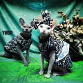 写真: Supreme ペット用パーカー 可愛い フェンディ 猫の洋服 グッチ 犬 バンダナ