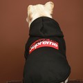 写真: Supreme ペット用スウェット ルイヴィトン 犬の冬服 パロディ クロムハーツ 犬用レザー首輪