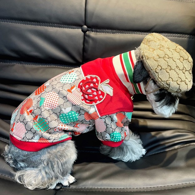 写真: グッチ 犬 中綿ジャケット ザノースフェイス ペットのレインコート クロムハーツ ペット用食器