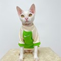 写真: 高品質のペットグッズ！プラダ 犬用ダウン服 ナイキ 猫の服 クロムハーツ 犬の首輪リード