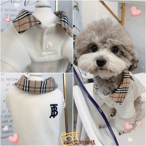 グッチ ペット服 パーカー バーバリー 犬用ポロシャツ Dior ペット首輪リード