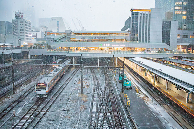 写真: 雪の新宿