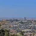 Photos: 卯辰山から　桜 (2)