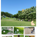 Photos: 奥卯辰山健民公園