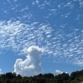 Photos: 秋空に夏の雲