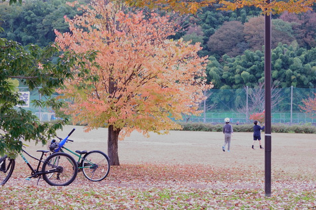 Photos: 公園の紅葉　自転車と子ども