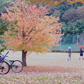 公園の紅葉　自転車と子ども