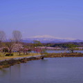 Photos: 木場潟から桜と白山