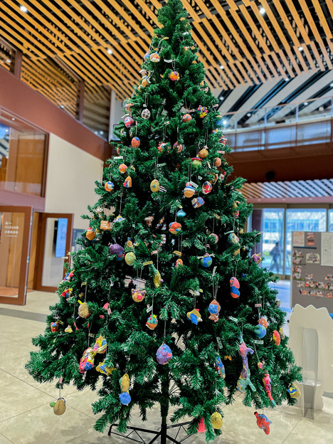 クリスマスツリー　石川県立図書館で