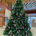 クリスマスツリー　石川県立図書館で