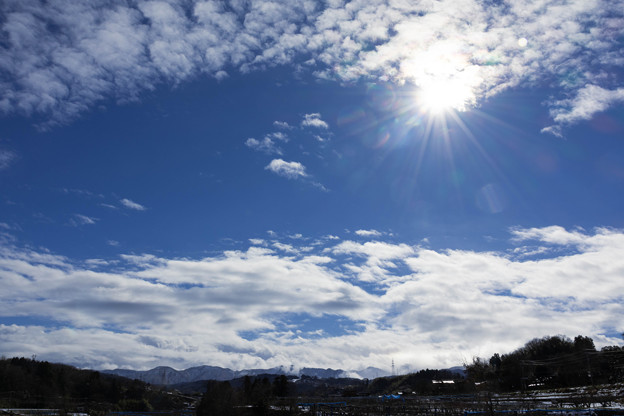 Photos: 青空と太陽