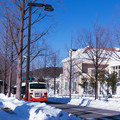 雪のバス停　メタセコイア