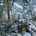 Photos: 雪の兼六園　花見橋