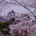 石川門　桜（1）