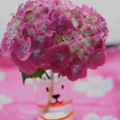 Photos: ピンクの紫陽花