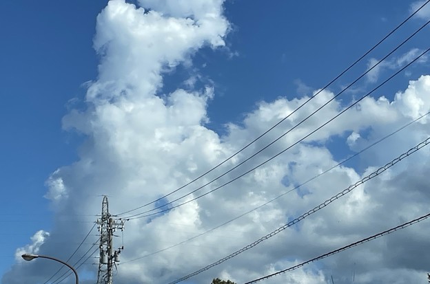 Photos: 猛暑の空と雲