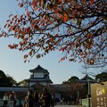 Photos: 石川門