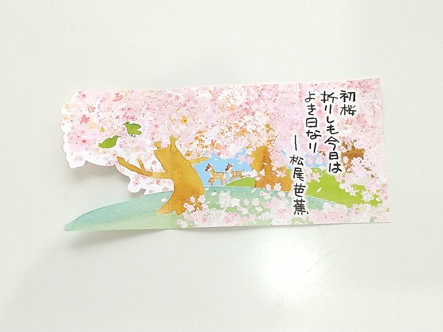 春・桜カード(中)