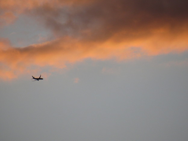写真: 夕焼けと飛行機