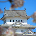 Photos: 姫路城（1）