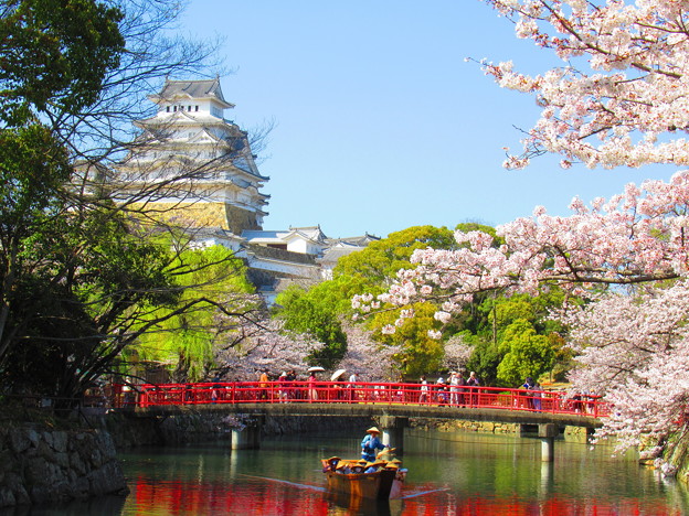 赤い橋と桜と小舟と姫路城