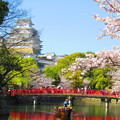 赤い橋と桜と小舟と姫路城
