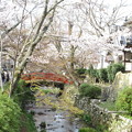 写真: 桜の天野川