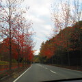 写真: 車窓から紅葉