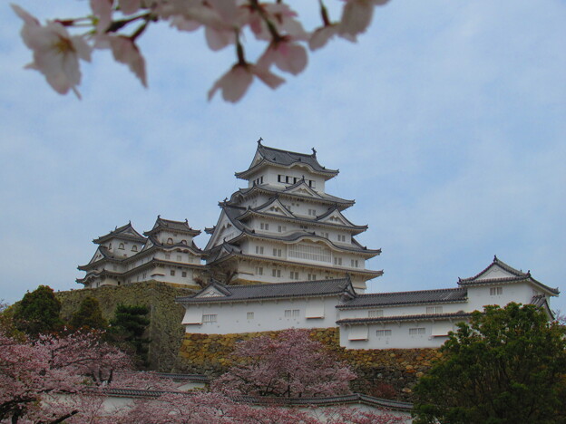写真: ４月姫路城