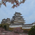 写真: ４月姫路城