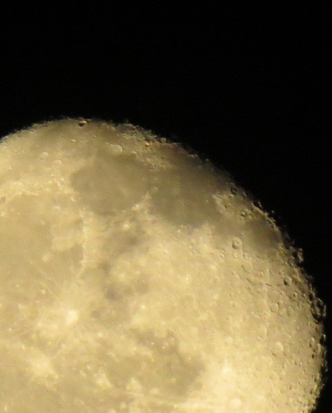 写真: 月面