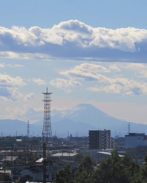 写真: 富士を望む